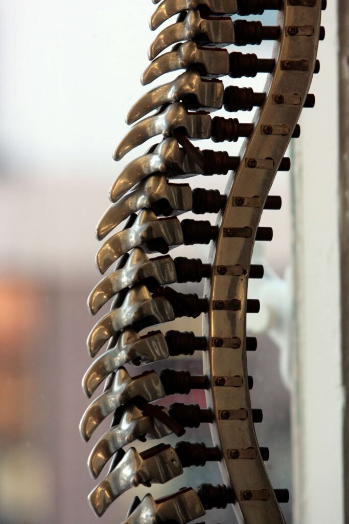 Georgetown Chiropractor and Chiropractic care